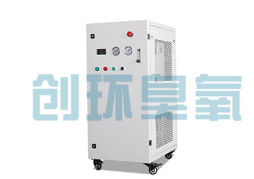 马鞍山石斑鱼养殖水质调控完整指南:臭氧发生器配置与操作步骤
