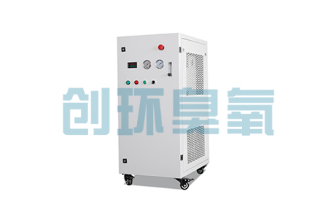 马鞍山比传统换水更高效?臭氧发生器在石斑鱼养殖中的水质净化原理解析